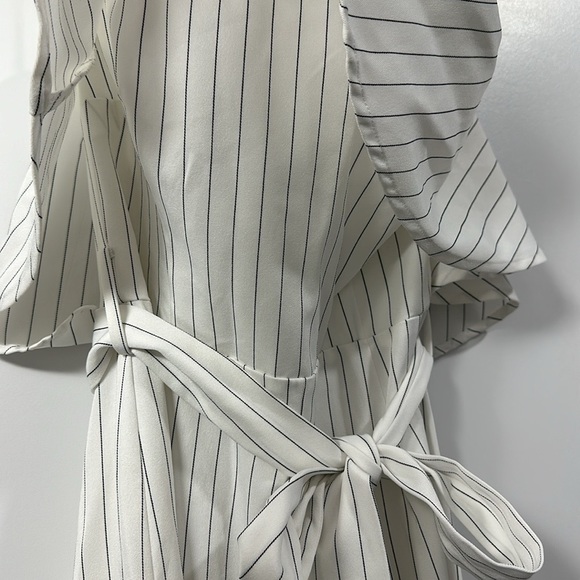 Pin Striped Jumpsuit - Picture 4 of 6